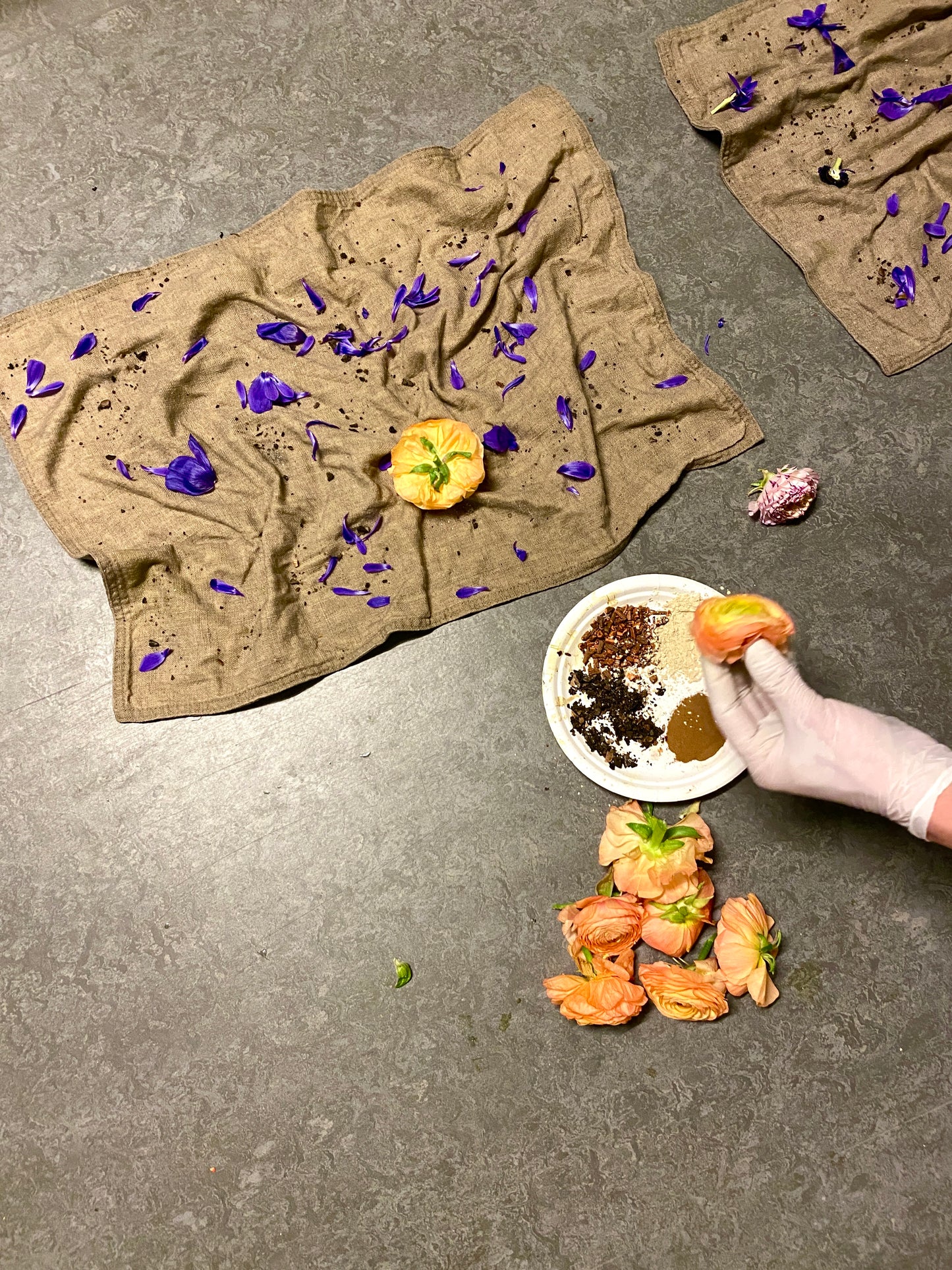 WORKSHOP at the ATELIER